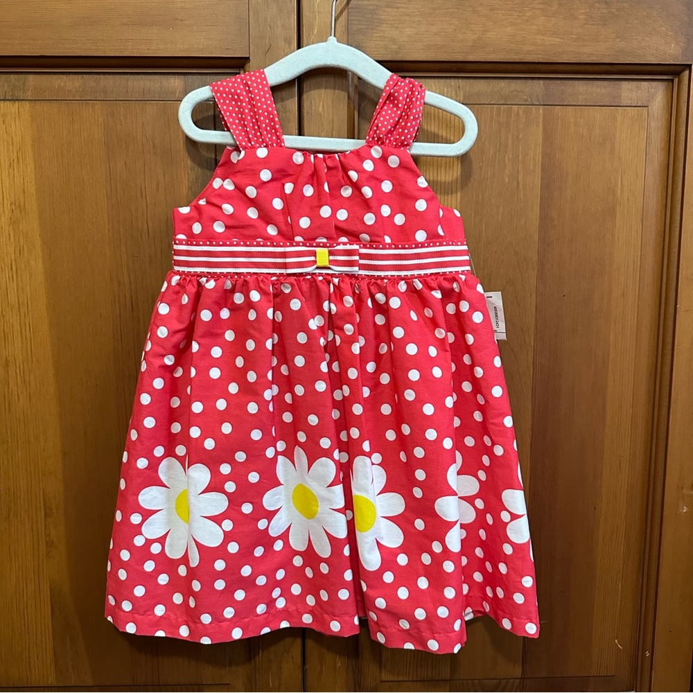 Blueberri dark coral and white Polka Dot Dress with Daisy Print - 24 months